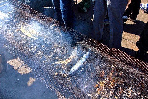 水元公園のさんま祭り18年はいつ 朝は何時から並ぶ 屋台や出店は出るの ひかりデイズ